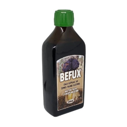 Befux čaga užpilas su žemės taukų sultimis, 250 ml
