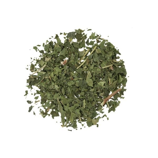 planteon-silkmedis2-1000x1000