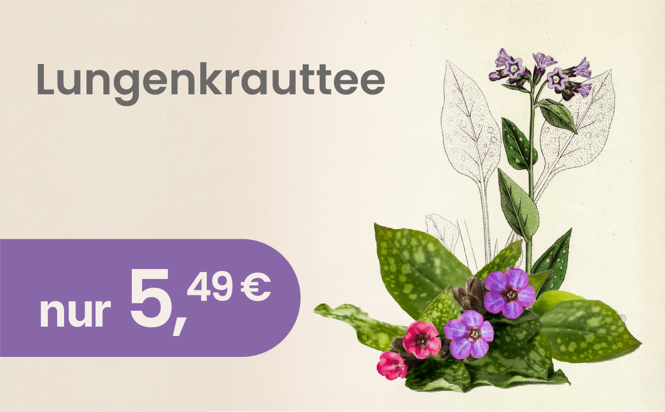 Lungenkrauttee