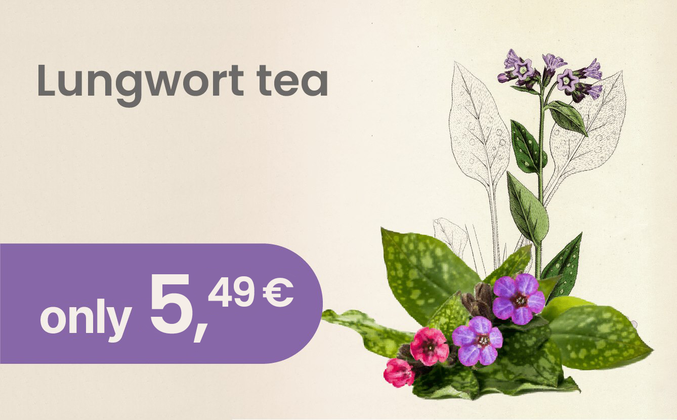 Lungwort herbal tea