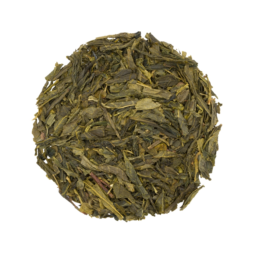 sencha2